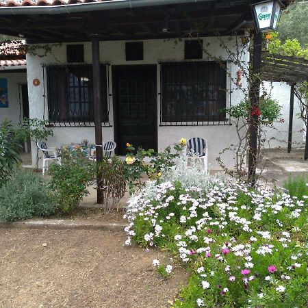Persefoni House Villa Afissos Exterior photo