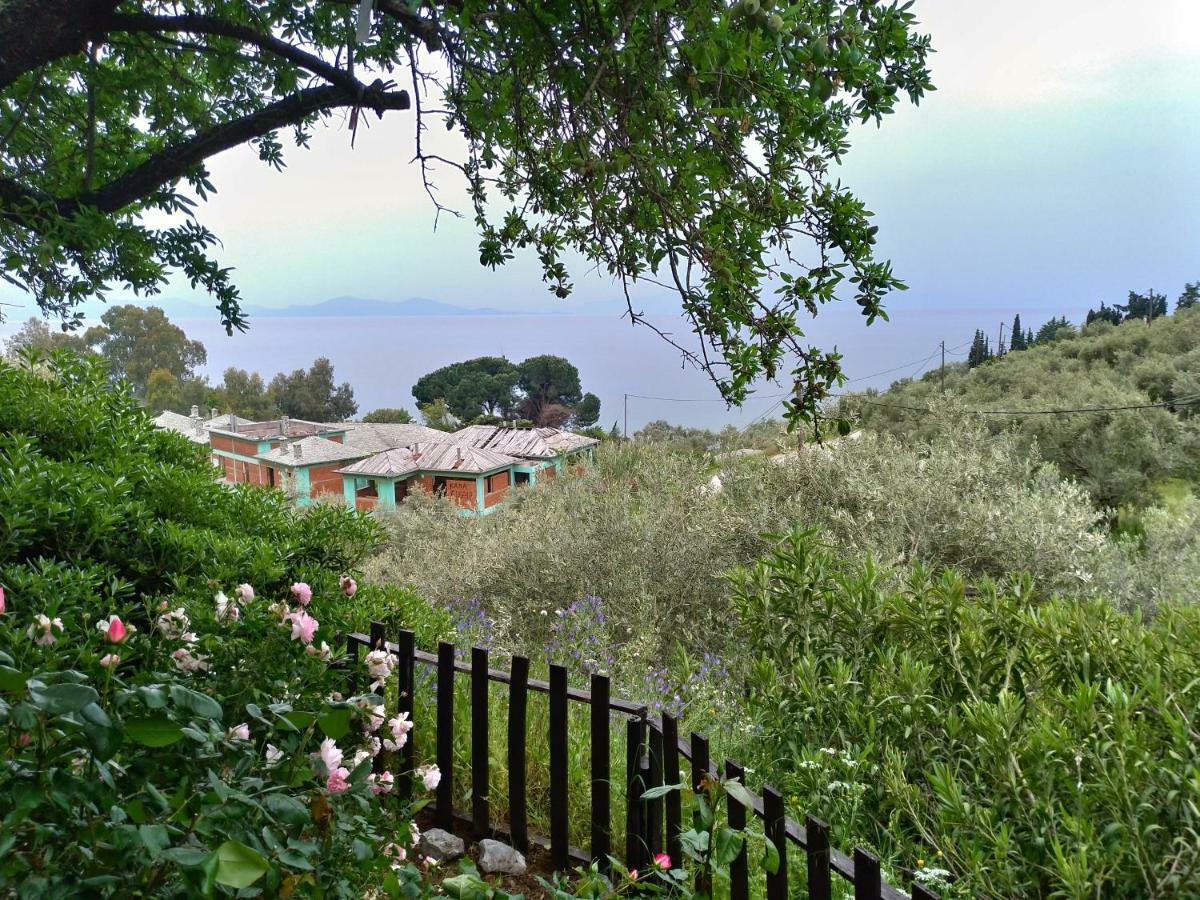 Persefoni House Villa Afissos Exterior photo
